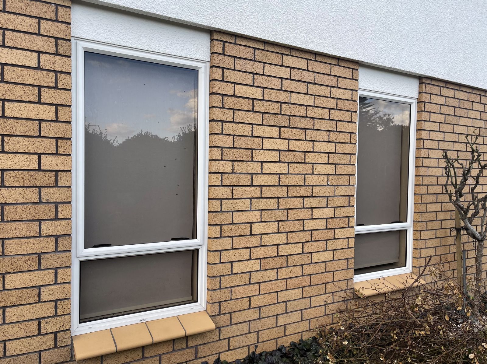 Before window